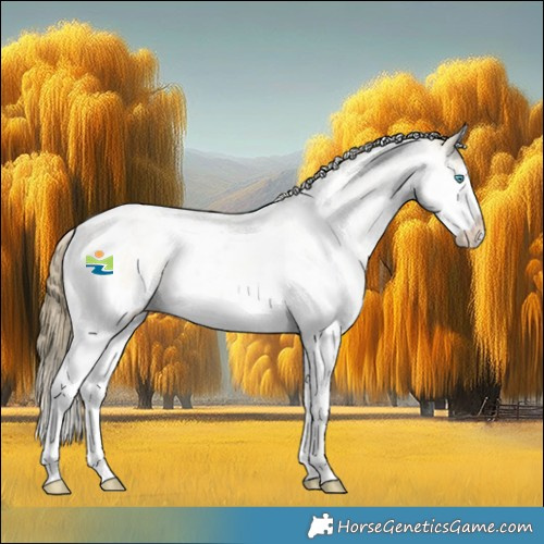 Horse Color:White Spotted Buckskin Pearl Dun Splash Appaloosa 