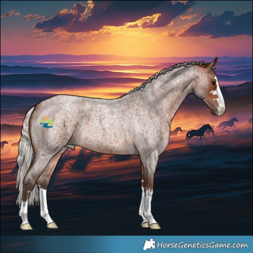 Horse Color:Silver Bay Roan 