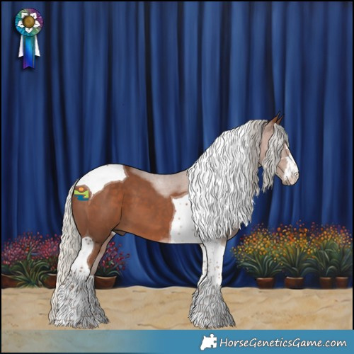 Horse Color:Silver Black Tobiano