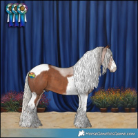 Horse Color:Silver Black Tobiano