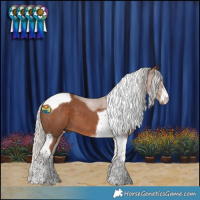 Horse Color:Silver Black Tobiano 