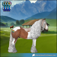 Horse Color:Silver Black Tobiano 