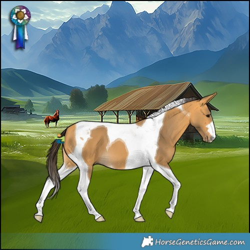 Horse Color:Buckskin Tobiano