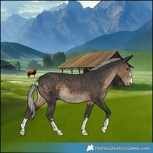 Horse Color:Silver Smoky Black 