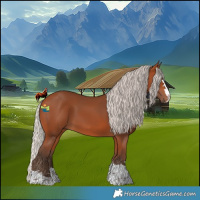 Horse Color:Silver Bay 
