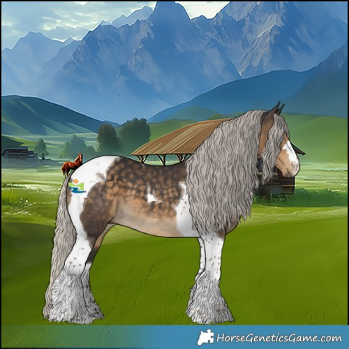 Horse Color:Silver Smoky Black Tobiano