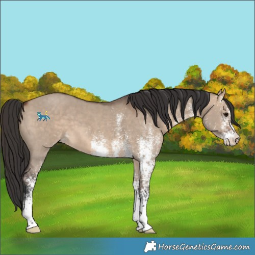 Horse Color:Unknown 