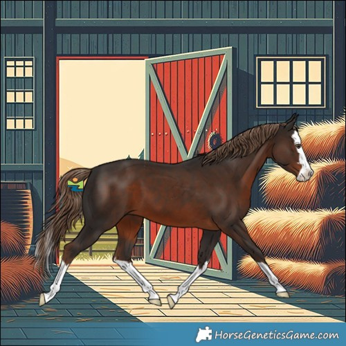 Horse Color:Liver Chestnut Splash 