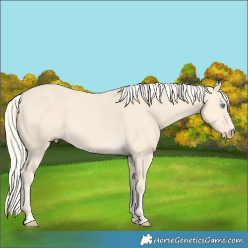 Horse Color:Cremello 