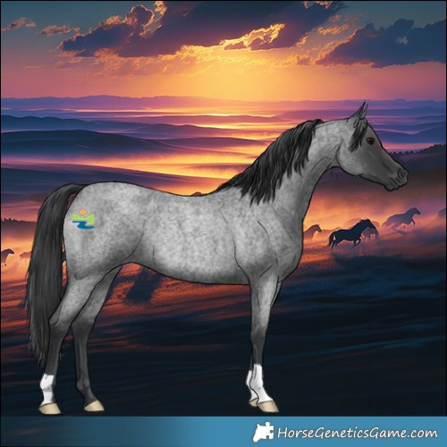 Horse Color:Blue Roan Rabicano 