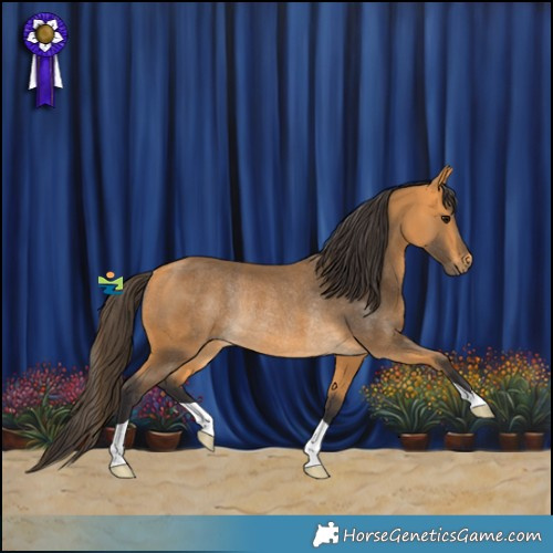 Horse Color:Buckskin Rabicano 