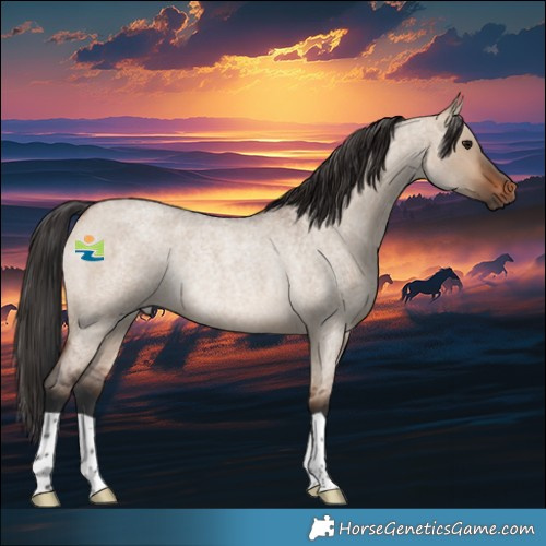 Horse Color:Brown Roan Dun Rabicano 