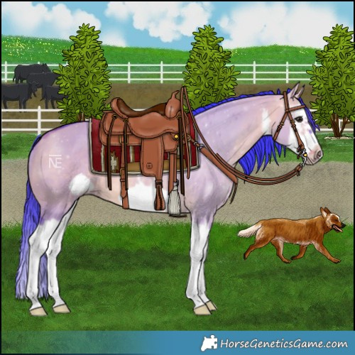 Horse Color:Watercolor White Spotted Bay Dun Splash Frame 