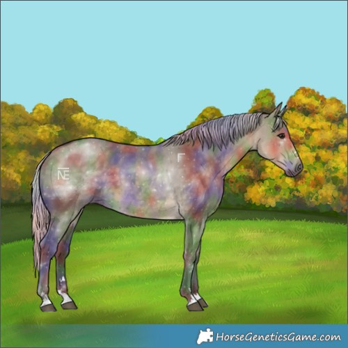 Horse Color:Nacre Silver Smoky Grullo