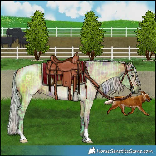 Horse Color:Watercolor Silver Grullo and Nacre Silver Bay Dun