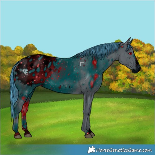 Horse Color:ERROR: UNKNOWN ANOMALY
