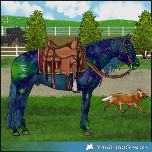 Horse Color:ERROR: UNKNOWN ANOMALY