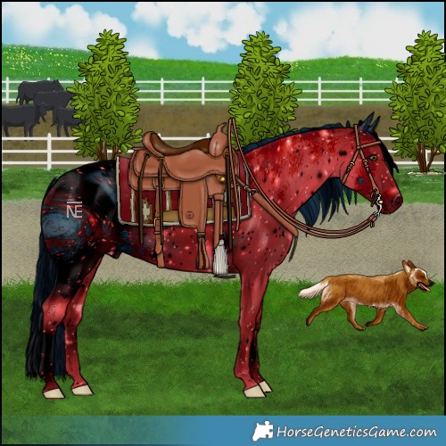 Horse Color:ERROR: UNKNOWN ANOMALY