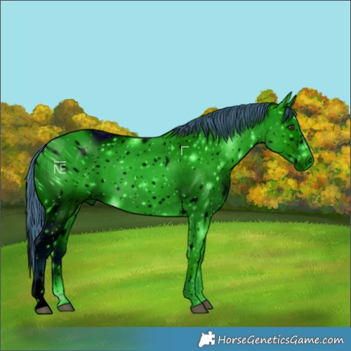 Horse Color:ERROR: UNKNOWN ANOMALY