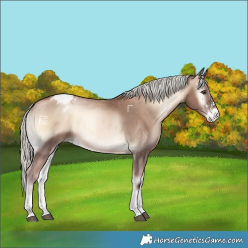 Horse Color:Liver Red Onyx Pearl Mushroom Sabino Varnish Rabicano 