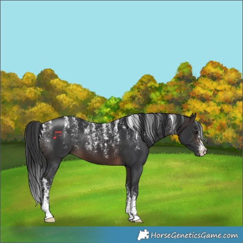 Horse Color:Powder White Brown