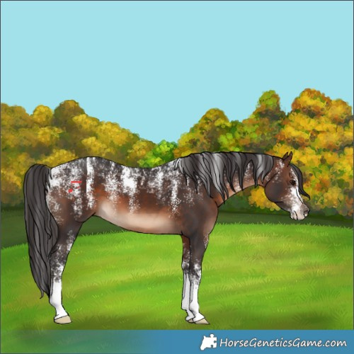 Horse Color:Powder White Brown 