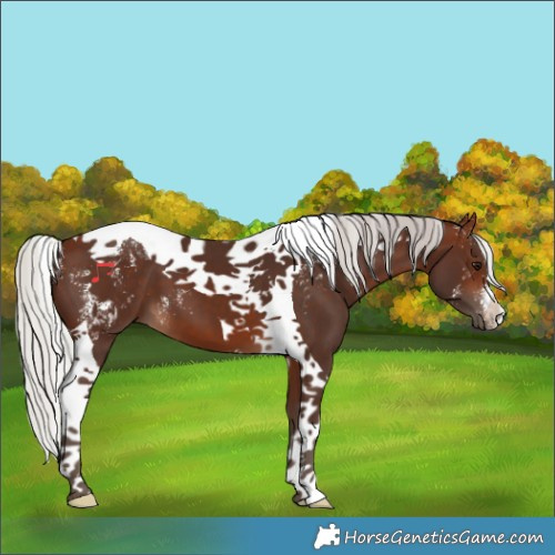 Horse Color:Powder White Silver Brown Tobiano 
