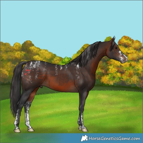 Horse Color:Powder White Brown 