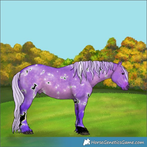 Horse Color:Watercolor White Spotted Silver Brown Dun 