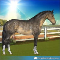 Horse Color:Buckskin Rabicano 