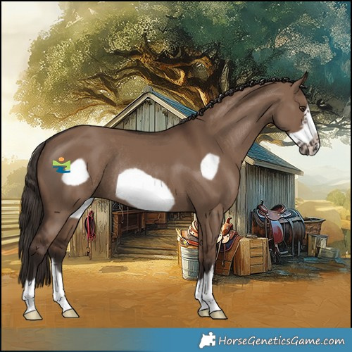 Horse Color:Liver Red Dun Frame Rabicano 