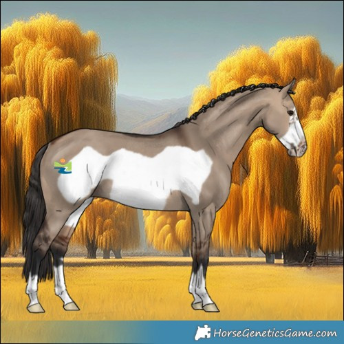 Horse Color:Bay Dun Frame Rabicano