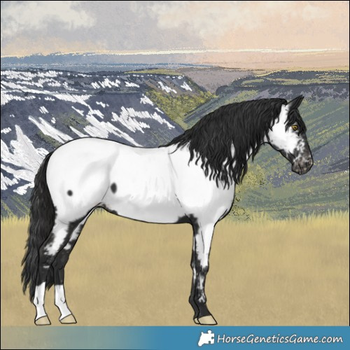 Horse Color:Liver Chestnut Near Fewspot