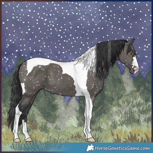 Horse Color:Grullo Tobiano Snowflake Varnish 