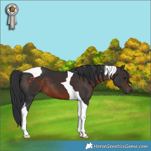 Horse Color:Brown Tobiano 