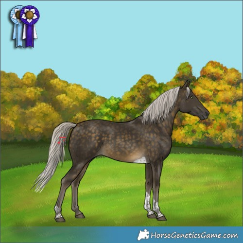 Horse Color:Silver Buckskin Tobiano