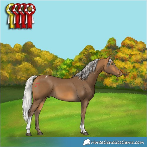 Horse Color:Silver Buckskin Tobiano