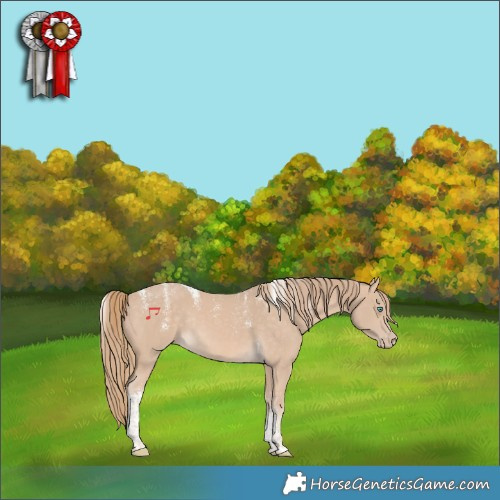 Horse Color:Powder White Perlino Tobiano Rabicano 