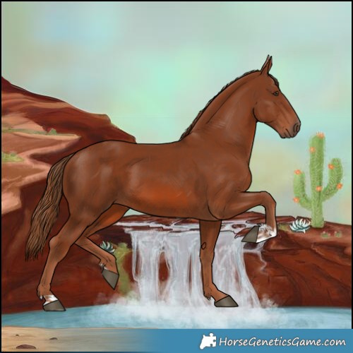 Horse Color:Chestnut and Chestnut