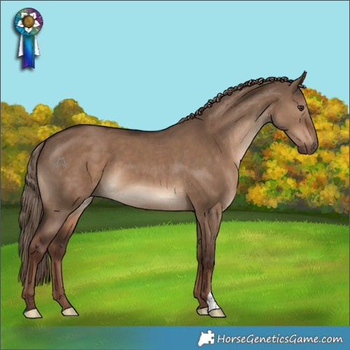 Horse Color:Liver Red Dun 
