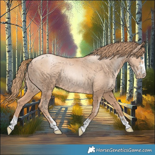 Horse Color:Gold Champagne Pearl Rabicano  and Gold Champagne Pearl Rabicano 