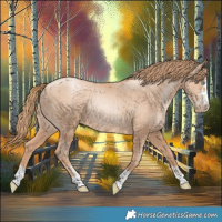 Horse Color:Gold Champagne Pearl Rabicano  and Gold Champagne Pearl Rabicano 