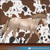 Horse Color:Gold Champagne Pearl Rabicano  and Gold Champagne Pearl Rabicano 