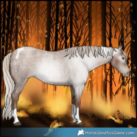 Horse Color:Gray Silver Blue Roan Pearl Tobiano 