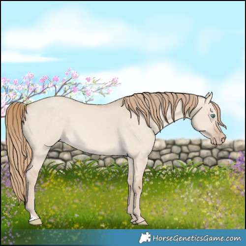 Horse Color:Perlino Dun 