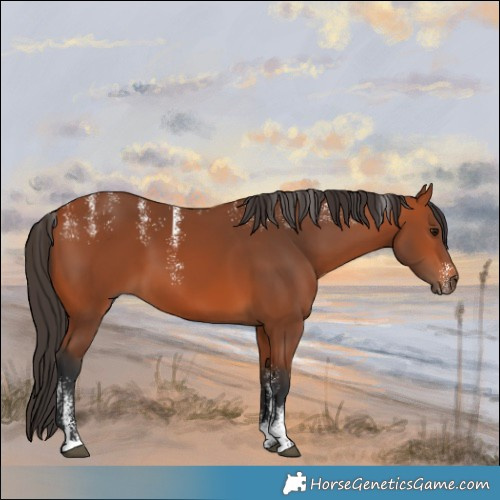 Horse Color:Powder White Bay 