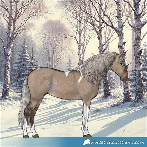 Horse Color:Silver Brown Dun Tobiano