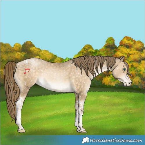 Horse Color:Buckskin Pearl Tobiano Snowflake Varnish Rabicano 