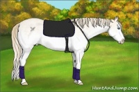 Horse Color:White Spotted Perlino Splash 