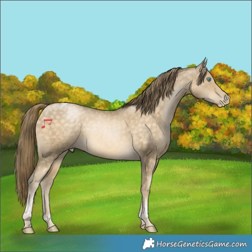 Horse Color:Brown Snowdrop Pearl Tobiano Rabicano 